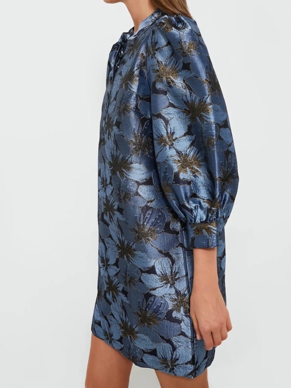 Pomander Place Blue Blossom Jacquard Samantha
Dress
AH2 - Picture 2 of 8